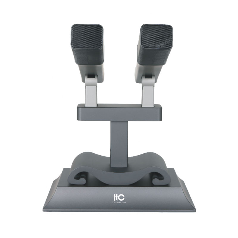 TS-302DM Двойной настольный проводной микрофон 1888