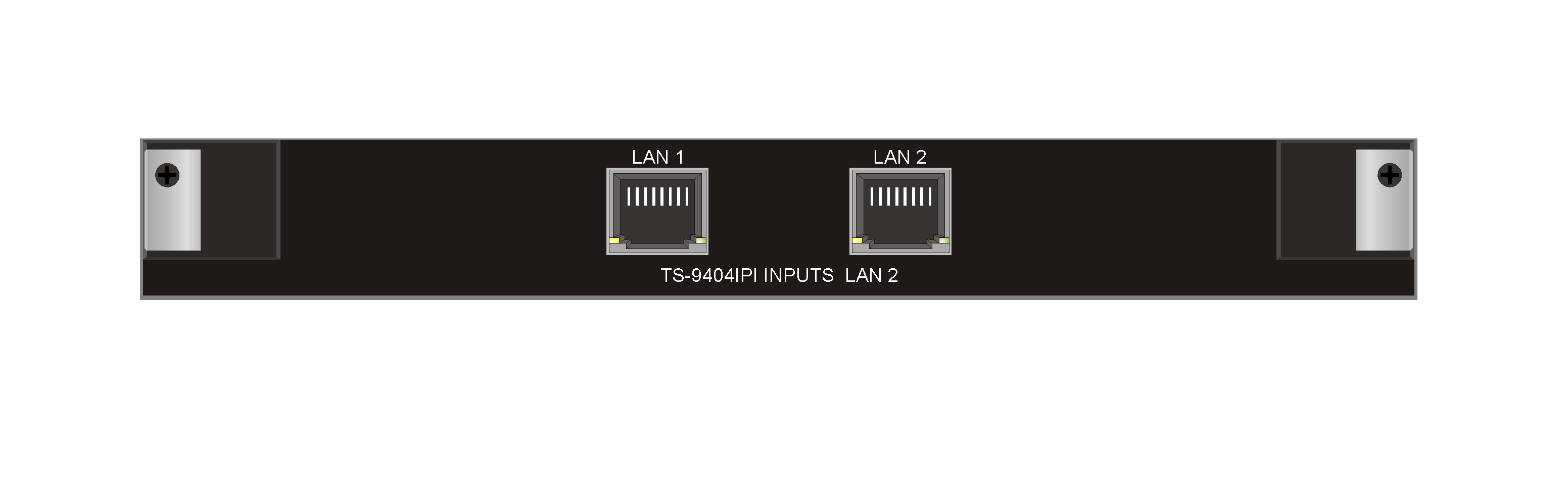 TS-9404IPI Входная карта Ethernet 2024